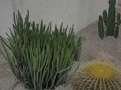 -OUR Bakery(SKP-S店)