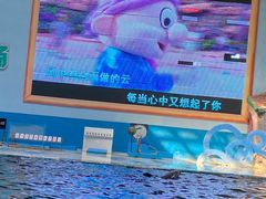 -蓬莱欧乐堡海洋极地世界