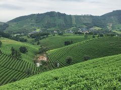 -帐篷客·溪龙茶谷度假酒店