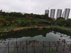 -乡下人家大酒楼(大鳌溪店)