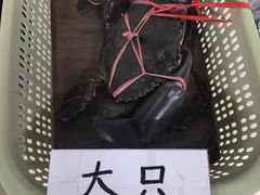 -龙海鲜螃蟹王(宏茂桥店)