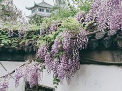 -何园