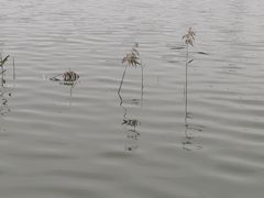 -济南国际园博园