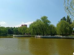 -丰台花园