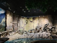 -重庆中国三峡博物馆(重庆博物馆)