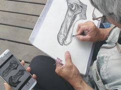 -老虎石海上公园