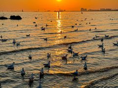 -老虎石海上公园