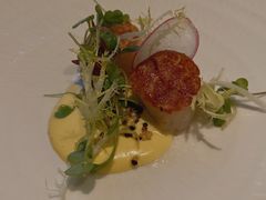 -蝶舍·MAISON PAPILLON