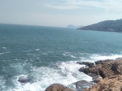 -广东惠东海龟国家级自然保护区