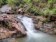 -广州白江湖森林公园