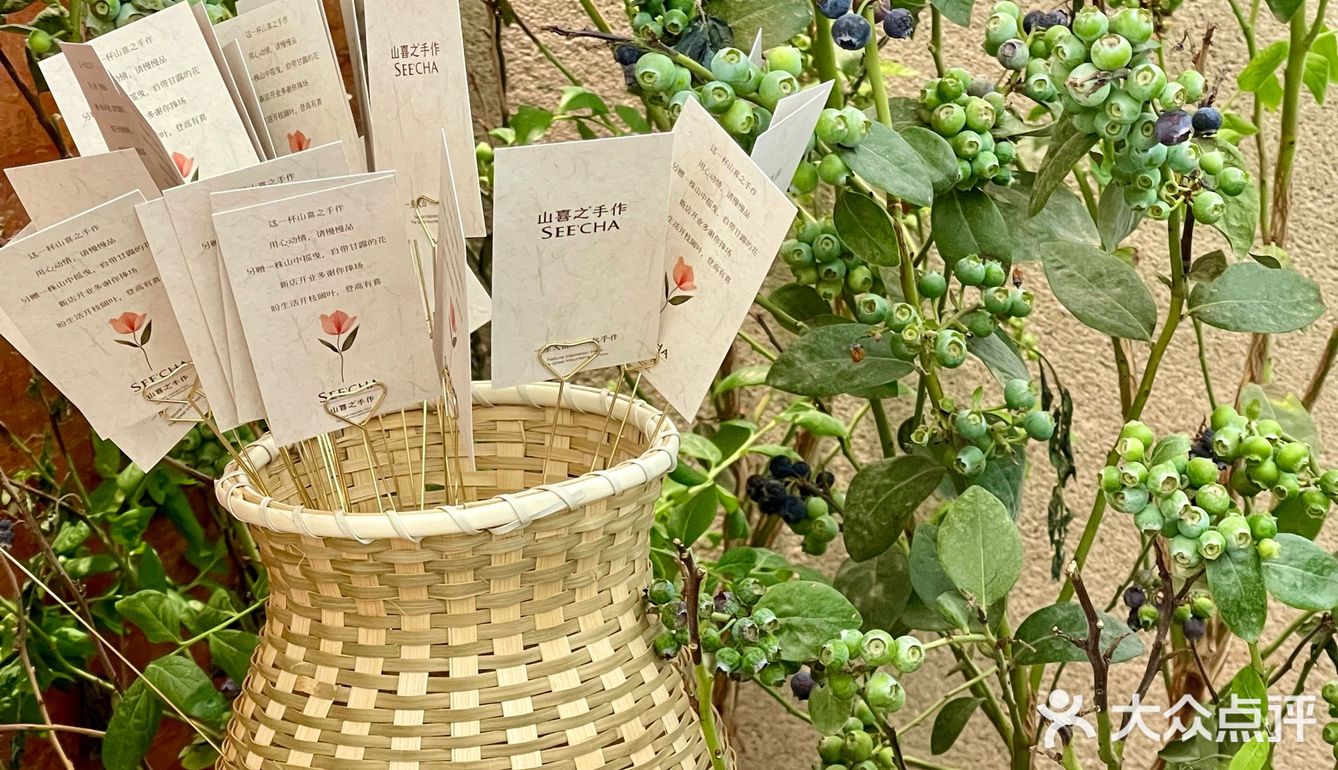 好夏天‼️合生汇新开的手作奶茶店🌿绿油油