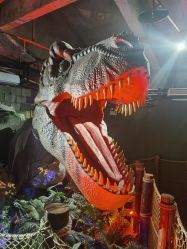 -恐龙探索乐园(磁器口店)