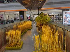 -巴黎春天(浦建店)