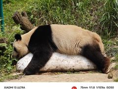 -广州长隆野生动物世界