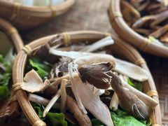 -滇野云南野生菌餐厅(陕西南路店)