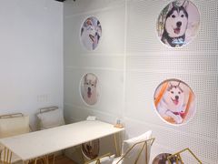 -Husky Go! 哈士奇体验馆·宠物咖啡厅狗咖