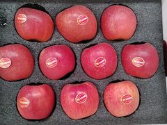 -上海龙吴水胜海发市场