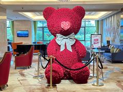 -郑州美盛喜来登大酒店