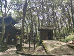 -富春桃源风景区