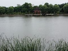 -雨湖公园