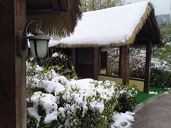 -咸宁万豪温泉谷度假区