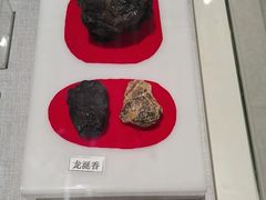 -北京中医药大学-中医药博物馆