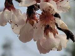 -太阳宫公园