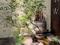-鸢飞潍坊菜馆(鸢飞大酒店)