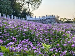 -福建鲤鱼洲酒店