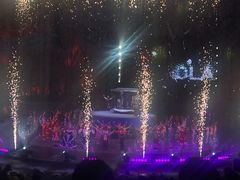 -广州长隆国际大马戏
