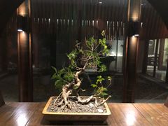 -粗茶淡饭·隐庐私厨(东亭店)
