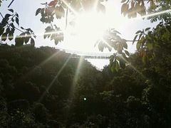 -牛鱼嘴原始生态风景区