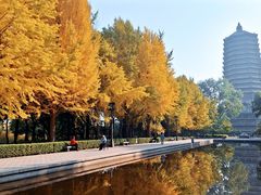 -玲珑塔公园