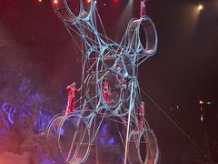 -广州长隆国际大马戏