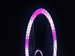 -南京眼步行桥