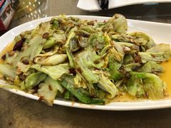 酱爆圆白菜-正阳春鸭子楼(汉沽店)