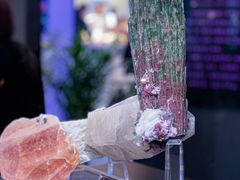 -天津梅江会展中心