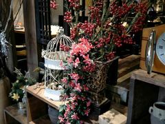 -别院里音乐餐酒吧(双流航空港店)
