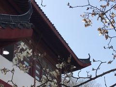 -堤角公园