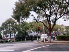 -安飞驰驾校·学车连锁(金高店)
