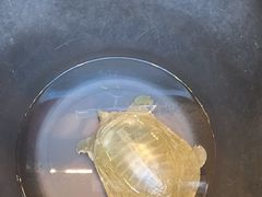 -烹湘·鲜炒湖南土菜(海珠店)