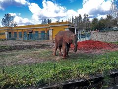 -哈尔滨北方森林动物园