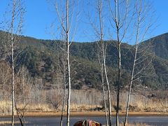 -泸沽湖国家级风景名胜区走婚桥