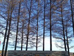 -塞罕坝国家级自然保护区