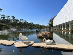 -罗红摄影艺术馆