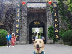 -天龙八部武侠城