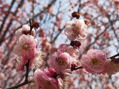 -郑州中国绿化博览园