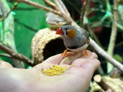 -Zoolung Zoolung动物主题公园(海信广场店)