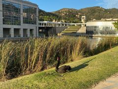 -厦门国家会计学院