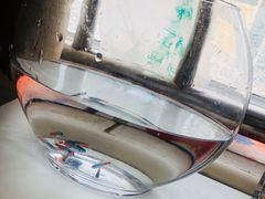 -宝鸡东道花鸟鱼虫市场(吉利花园商场店)